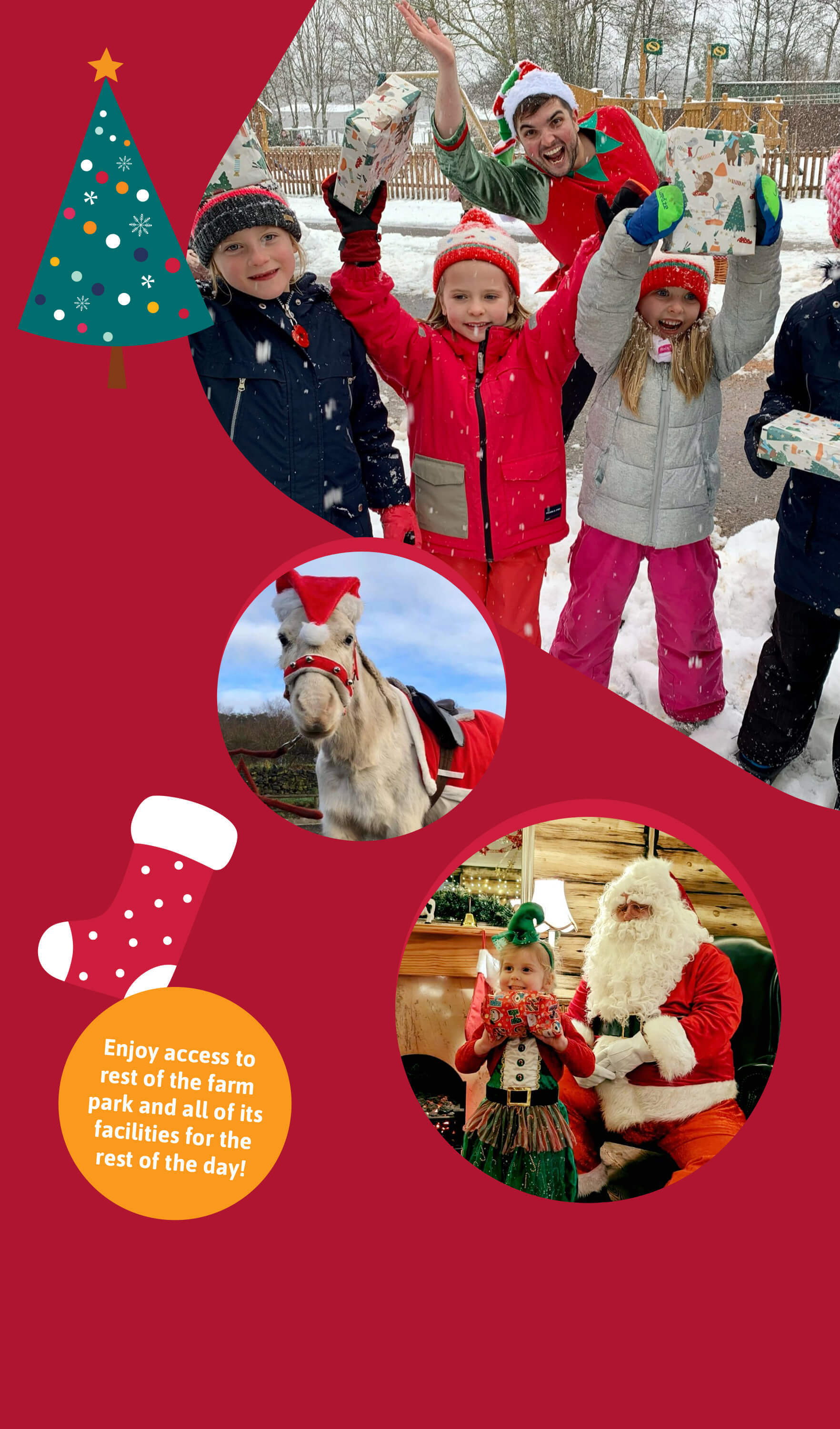 Christmas fun