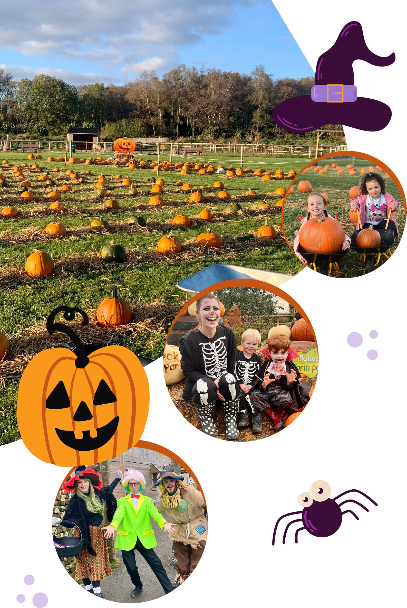 Halloween fun
