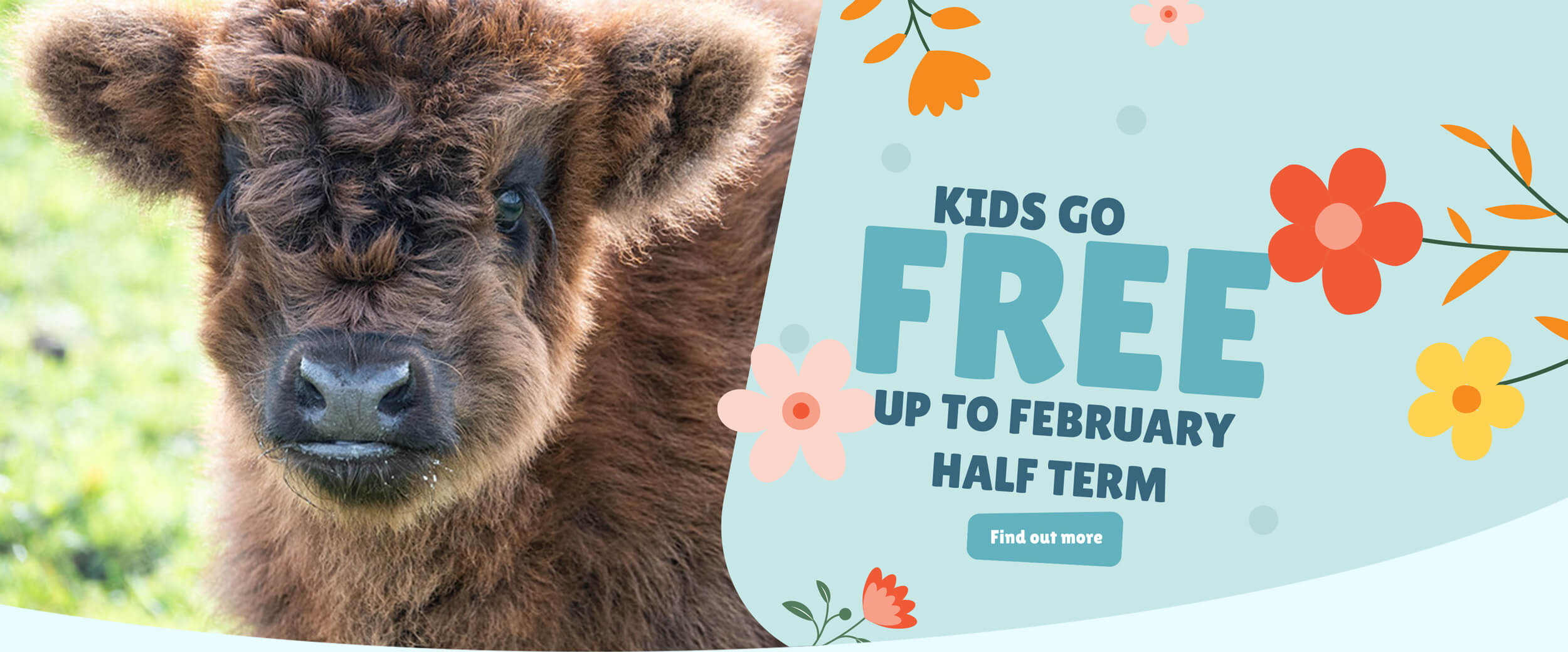 Banner - Matlock Farm Park