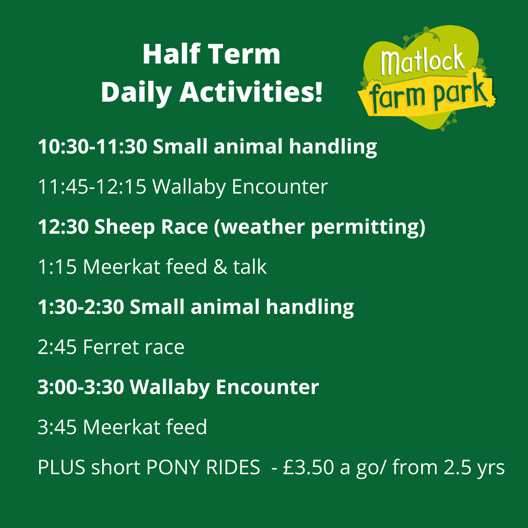 Feb half term 2022 Matlock Farm Park