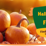 halloween at Matlock Farm Park