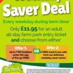 WEEKDAY SAVER OFFER