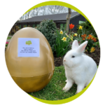 Easter Bunny