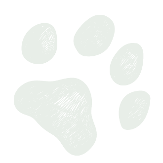 paw