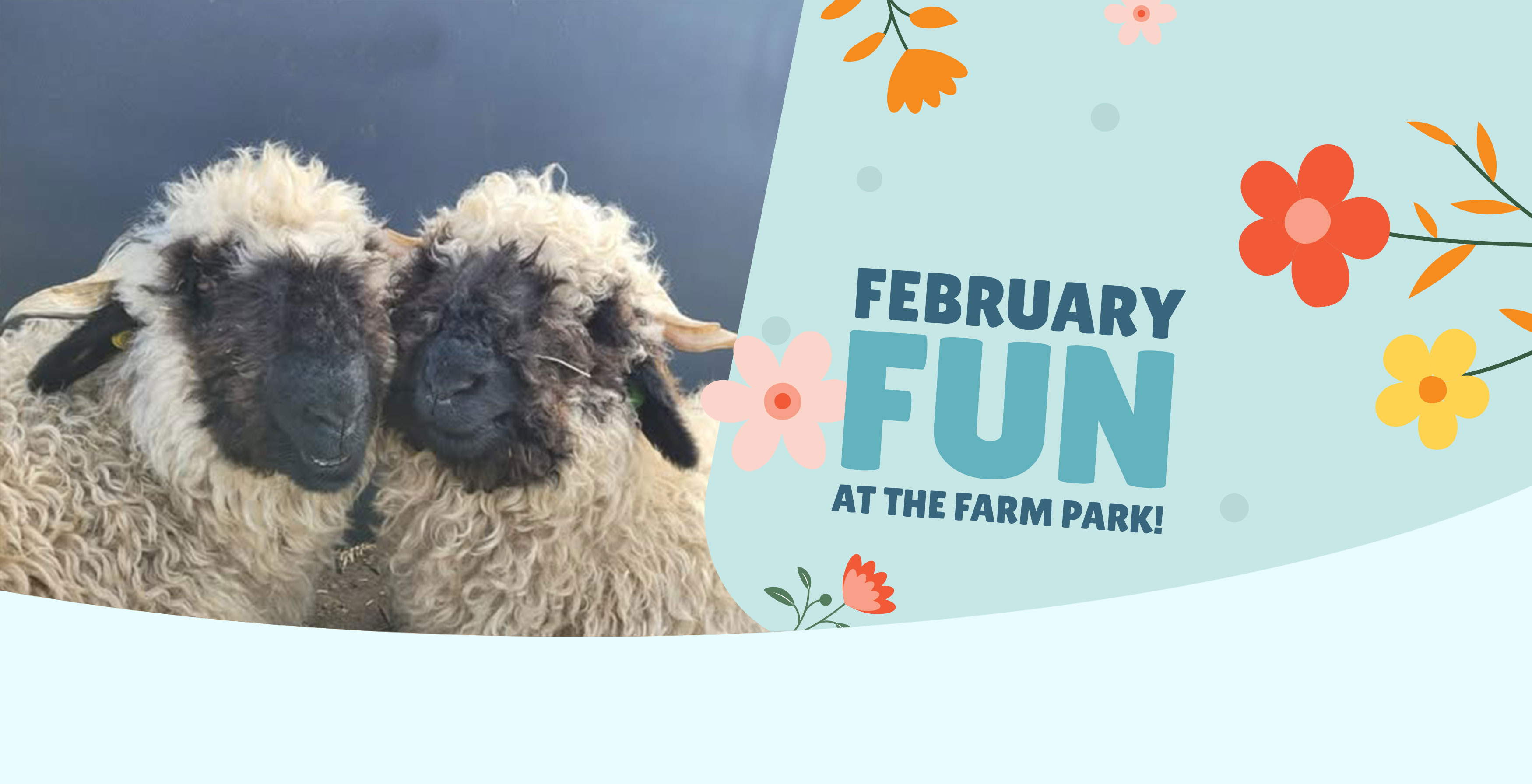 Banner - Matlock Farm Park