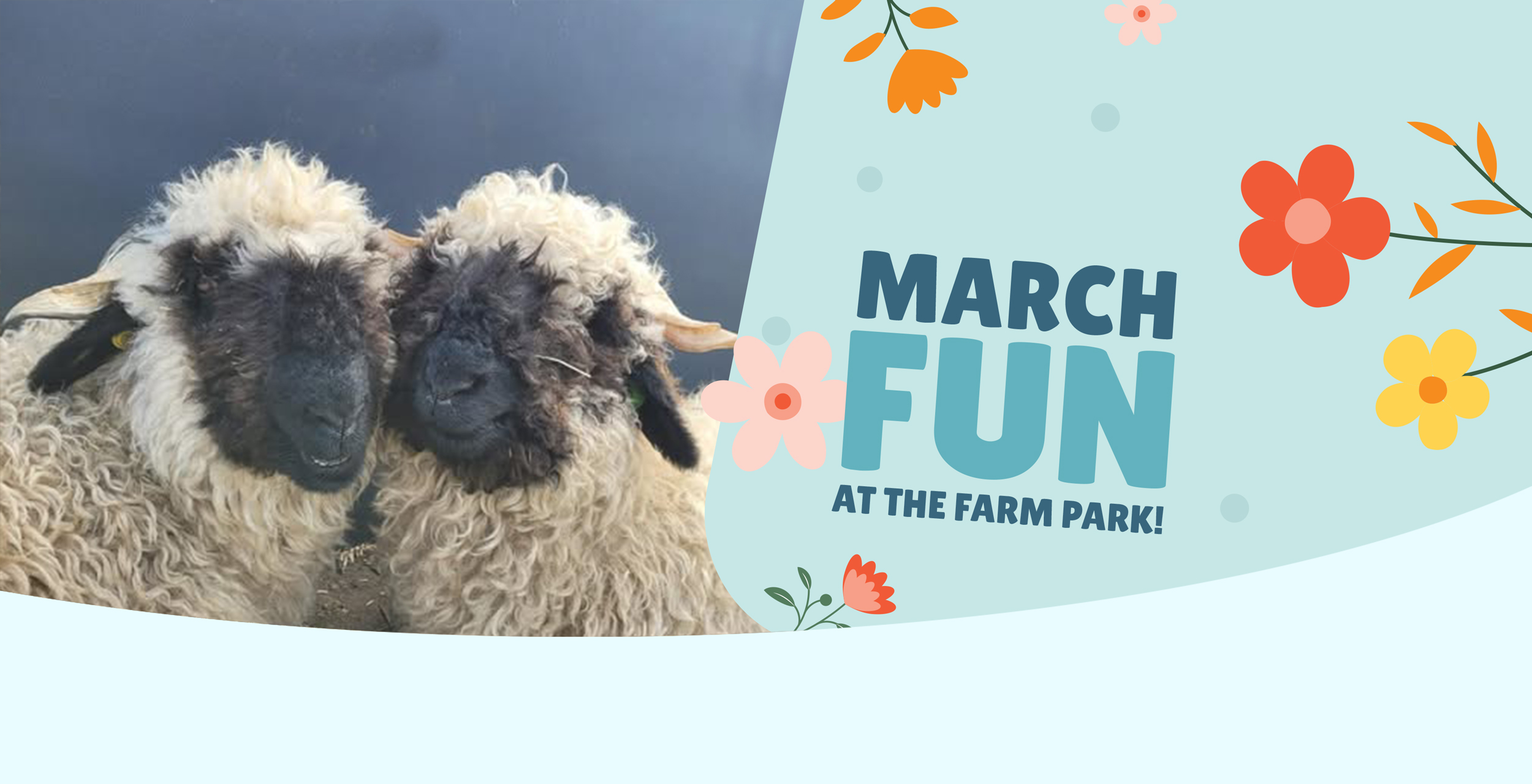 Banner - Matlock Farm Park