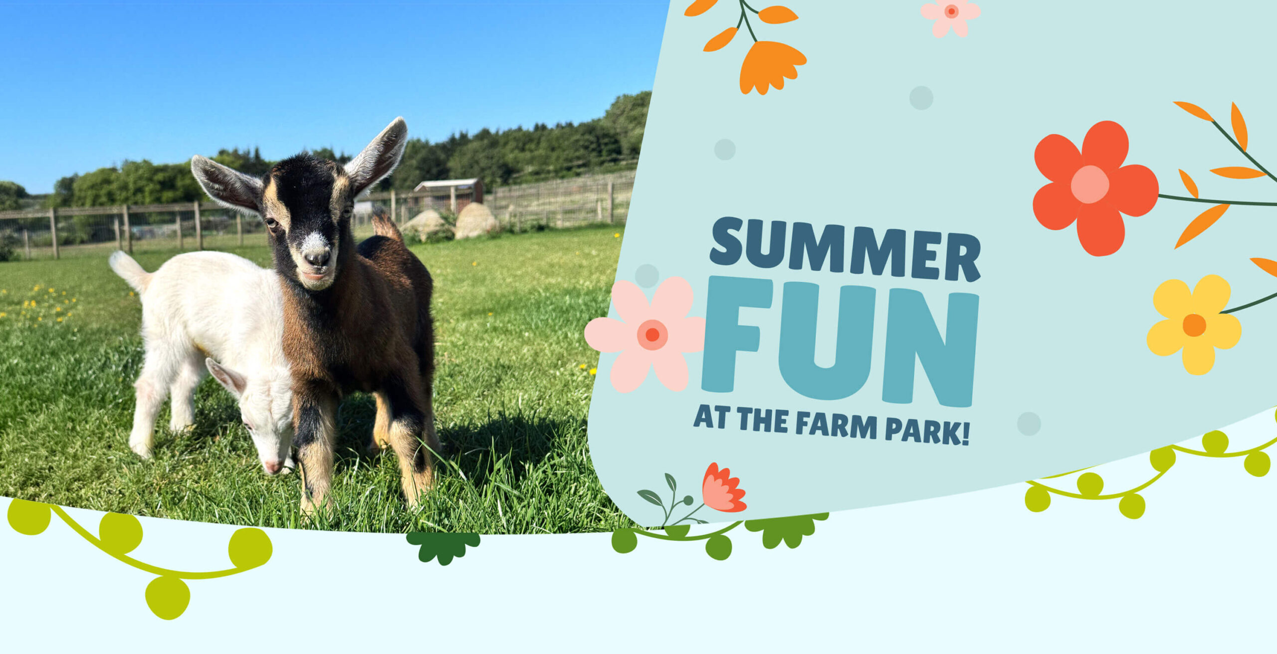 Banner - Matlock Farm Park