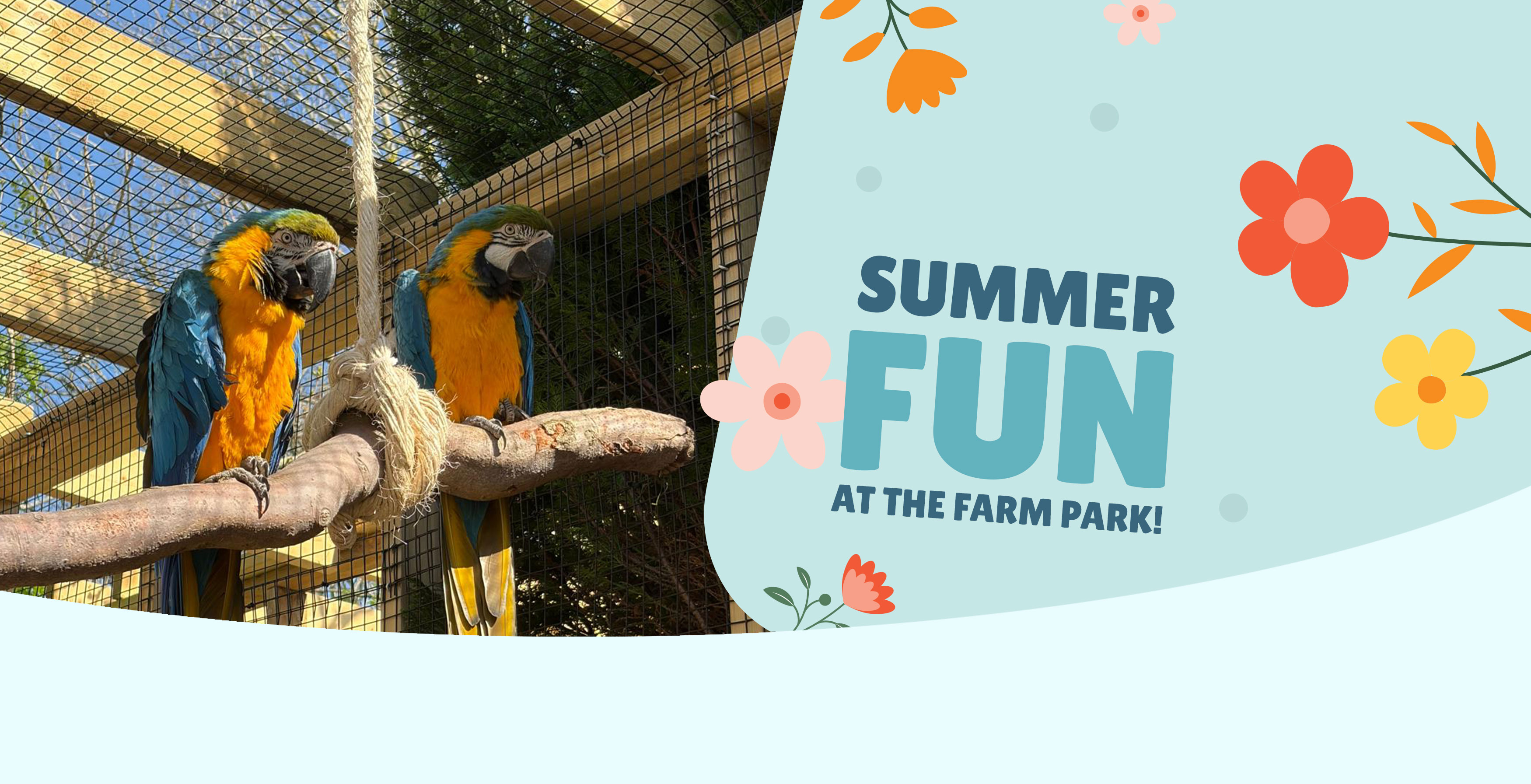 Banner - Matlock Farm Park